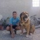 Apolo es un perro grande,potente,ágil,tiene muy buena estructura y tiene un excelente movimiento elastico y armonico y tiene mucho caracter del cual han heredado sus hijos.Muerde en tijera.Mide 85 cm a la cruz y pesa 80 kg.(Disponible para montas)